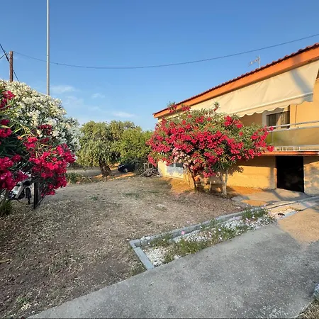 Alex House Thassos Semesterbostad *