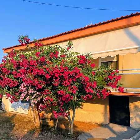 Alex House Thassos Tatil Evi *