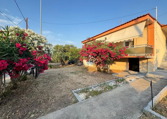 Alex House Thassos Σπίτι διακοπών *