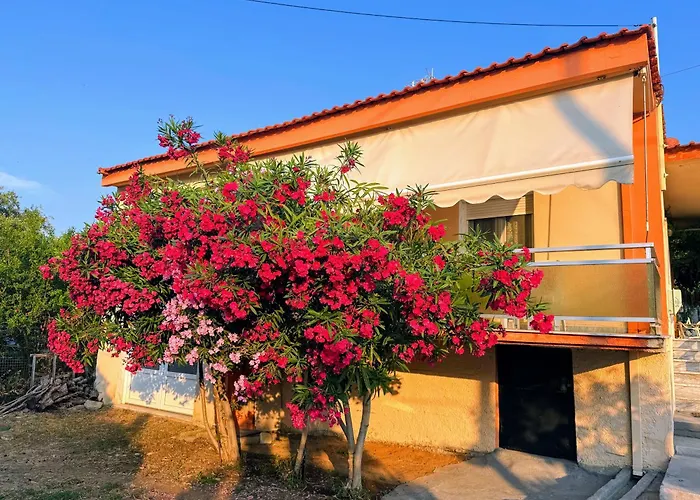 Alex House Thassos Σπίτι διακοπών *